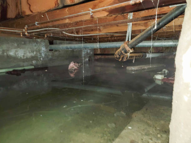 Reliable Sunny Isles Beach, FL Water damage restoration Solutions