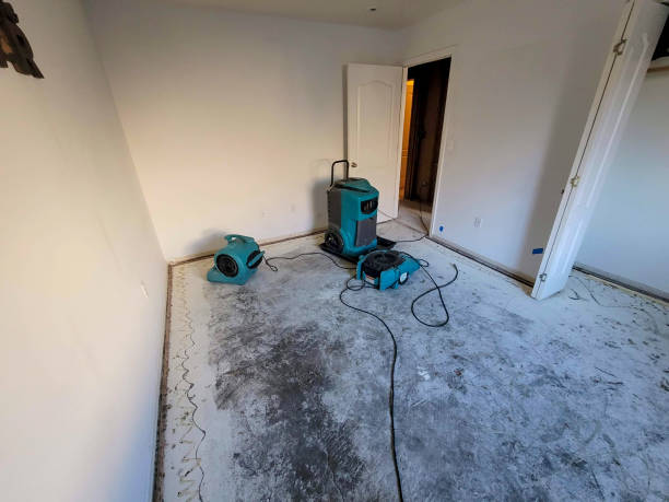 Best Residential water damage restoration  in Sunny Isles Beach, FL