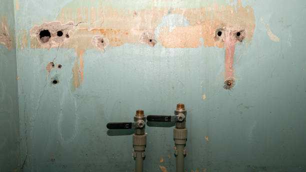 Best Emergency water damage restoration  in Sunny Isles Beach, FL