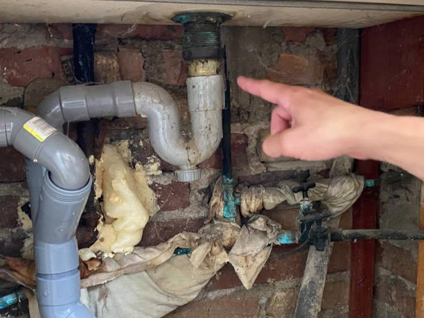 Best Commercial water damage restoration  in Sunny Isles Beach, FL