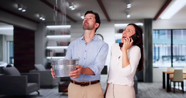 Best Carpet water damage restoration  in Sunny Isles Beach, FL