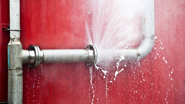 Best Flooded house restoration  in Sunny Isles Beach, FL